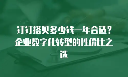 钉钉搭贝多少钱一年合适？企业数字化转型的性价比之选