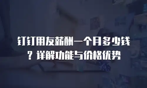 钉钉用友薪酬一个月多少钱？详解功能与价格优势