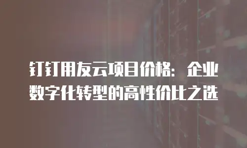 钉钉用友云项目价格：企业数字化转型的高性价比之选