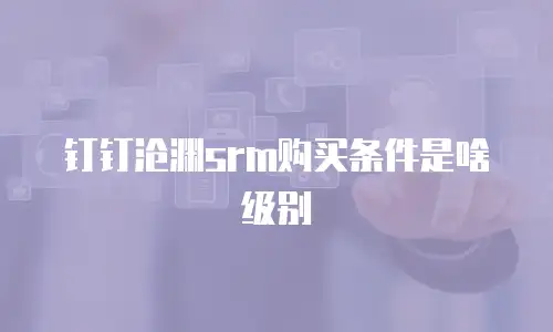 钉钉沧渊srm购买条件是啥级别