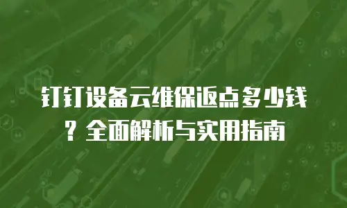 钉钉设备云维保返点多少钱？全面解析与实用指南