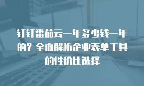 钉钉番茄云一年多少钱一年的？全面解析企业表单工具的性价比选择