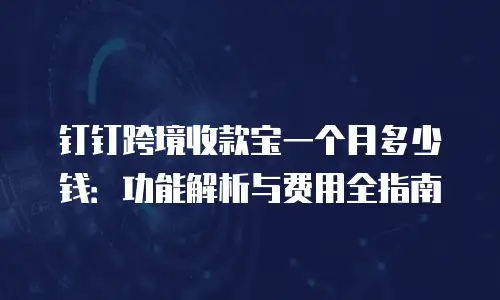 钉钉跨境收款宝一个月多少钱：功能解析与费用全指南