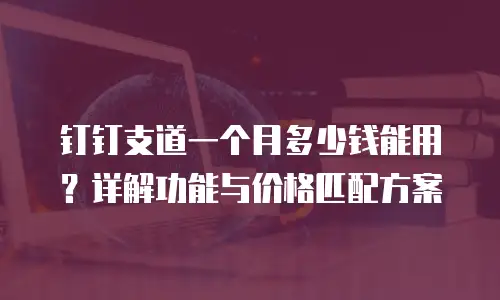 钉钉支道一个月多少钱能用？详解功能与价格匹配方案