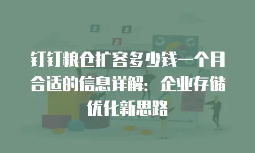 钉钉粮仓扩容多少钱一个月合适的信息详解：企业存储优化新思路