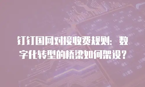 钉钉国网对接收费规则：数字化转型的桥梁如何架设？