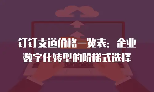 钉钉支道价格一览表：企业数字化转型的阶梯式选择