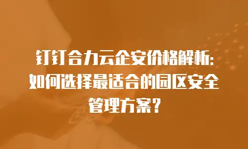 钉钉合力云企安价格解析：如何选择最适合的园区安全管理方案？