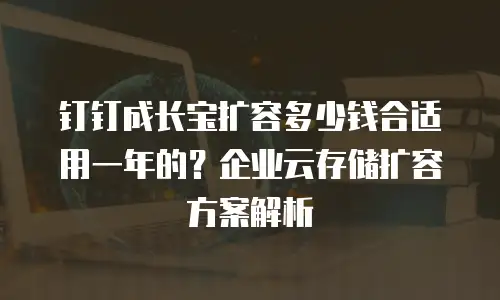 钉钉成长宝扩容多少钱合适用一年的？企业云存储扩容方案解析