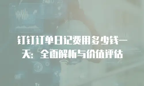 钉钉订单日记费用多少钱一天：全面解析与价值评估