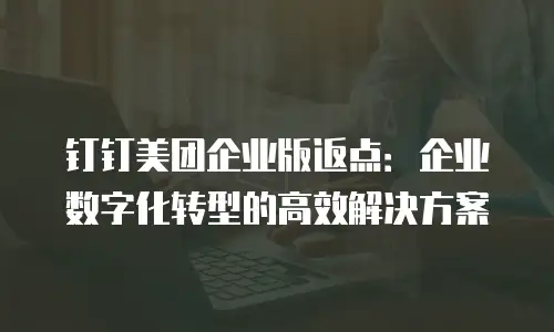 钉钉美团企业版返点：企业数字化转型的高效解决方案