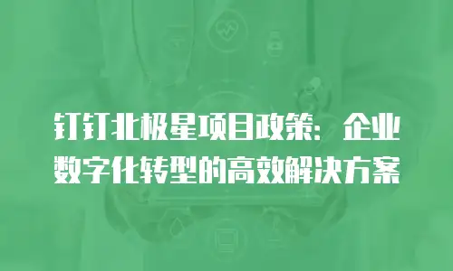 钉钉北极星项目政策：企业数字化转型的高效解决方案