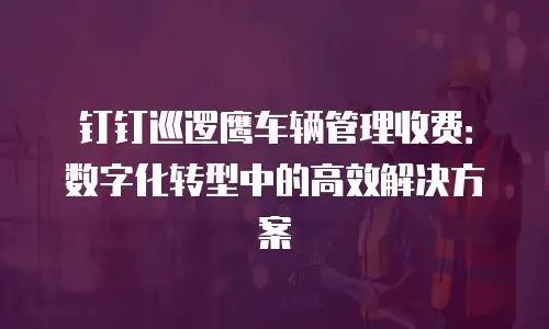 钉钉巡逻鹰车辆管理收费：数字化转型中的高效解决方案