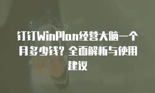 钉钉WinPlan经营大脑一个月多少钱？全面解析与使用建议