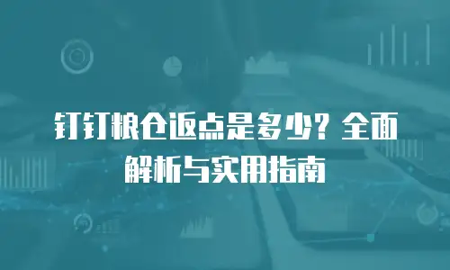 钉钉粮仓返点是多少？全面解析与实用指南