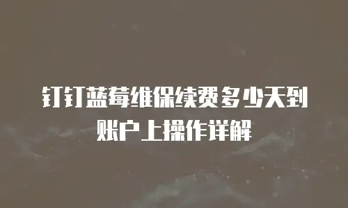 钉钉蓝莓维保续费多少天到账户上操作详解