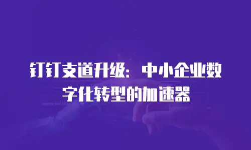 钉钉支道升级：中小企业数字化转型的加速器