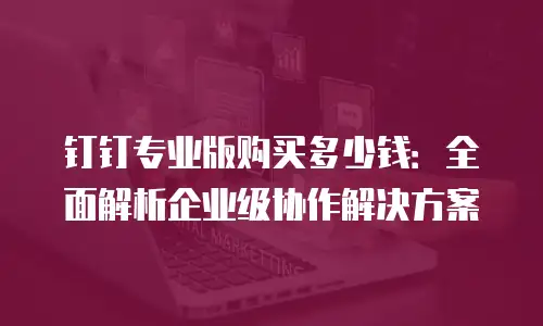 钉钉专业版购买多少钱：全面解析企业级协作解决方案
