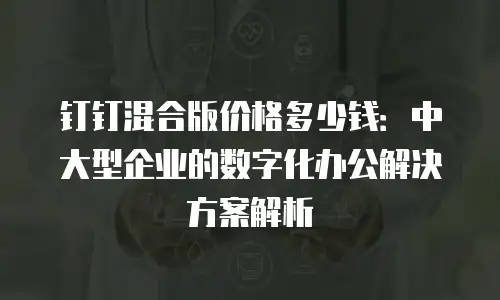 钉钉混合版价格多少钱：中大型企业的数字化办公解决方案解析