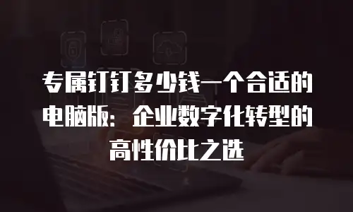 专属钉钉多少钱一个合适的电脑版：企业数字化转型的高性价比之选