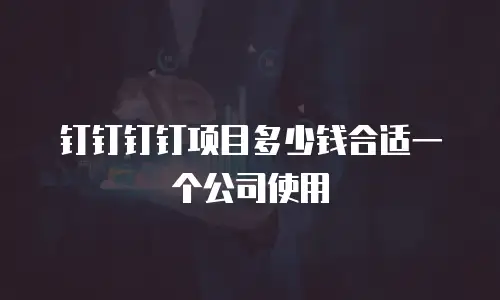 钉钉钉钉项目多少钱合适一个公司使用