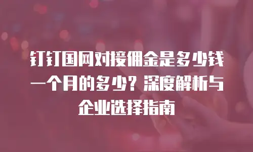 钉钉国网对接佣金是多少钱一个月的多少？深度解析与企业选择指南