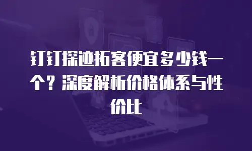 钉钉探迹拓客便宜多少钱一个？深度解析价格体系与性价比