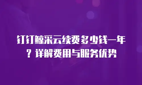 钉钉鲸采云续费多少钱一年？详解费用与服务优势