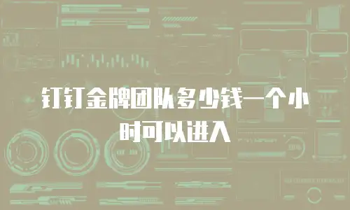 钉钉金牌团队多少钱一个小时可以进入