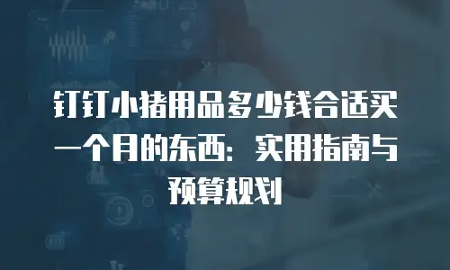 钉钉小猪用品多少钱合适买一个月的东西：实用指南与预算规划