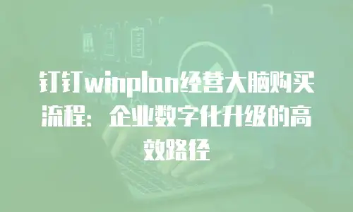 钉钉winplan经营大脑购买流程：企业数字化升级的高效路径