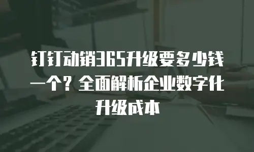钉钉动销365升级要多少钱一个？全面解析企业数字化升级成本