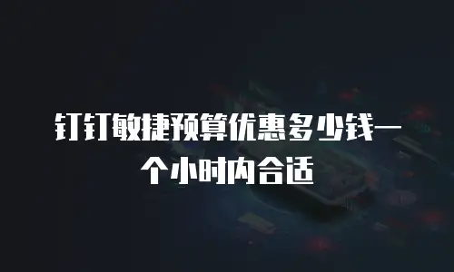 钉钉敏捷预算优惠多少钱一个小时内合适