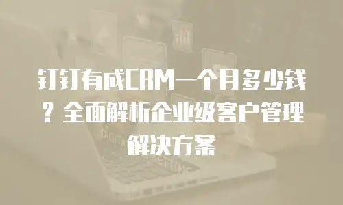 钉钉有成CRM一个月多少钱？全面解析企业级客户管理解决方案