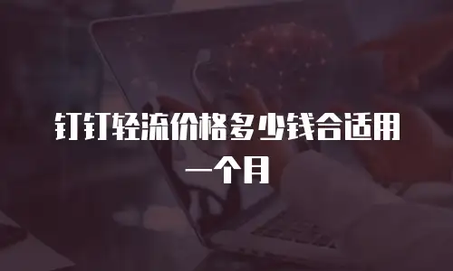 钉钉轻流价格多少钱合适用一个月