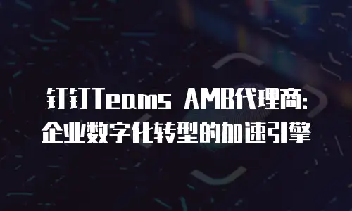 钉钉Teams AMB代理商：企业数字化转型的加速引擎