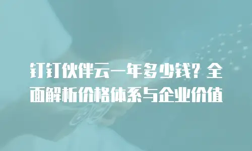 钉钉伙伴云一年多少钱？全面解析价格体系与企业价值