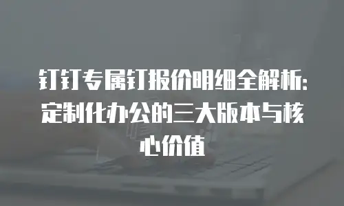 钉钉专属钉报价明细全解析：定制化办公的三大版本与核心价值