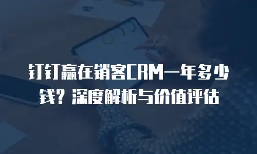 钉钉赢在销客CRM一年多少钱？深度解析与价值评估