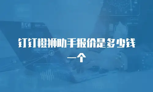 钉钉橙狮助手报价是多少钱一个