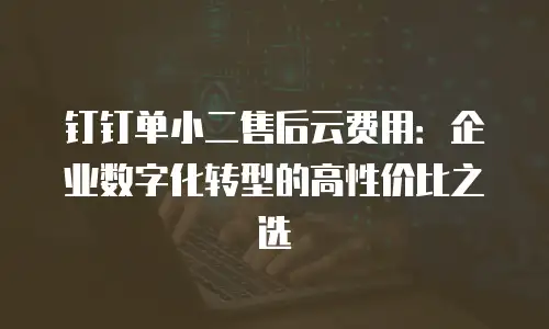 钉钉单小二售后云费用：企业数字化转型的高性价比之选