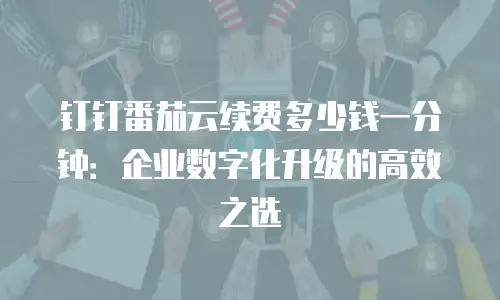 钉钉番茄云续费多少钱一分钟：企业数字化升级的高效之选