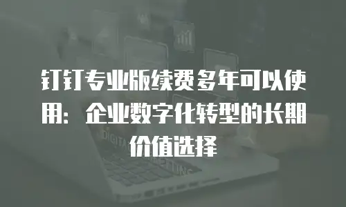 钉钉专业版续费多年可以使用：企业数字化转型的长期价值选择