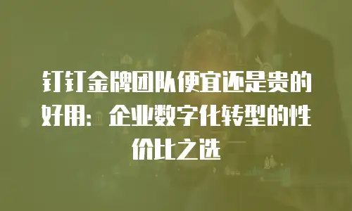 钉钉金牌团队便宜还是贵的好用：企业数字化转型的性价比之选
