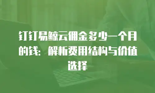 钉钉易鲸云佣金多少一个月的钱：解析费用结构与价值选择