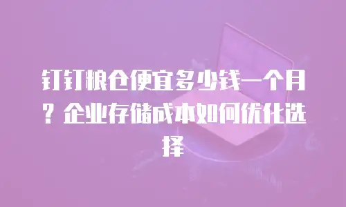 钉钉粮仓便宜多少钱一个月？企业存储成本如何优化选择