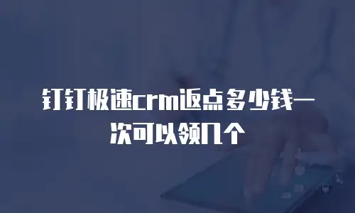 钉钉极速crm返点多少钱一次可以领几个