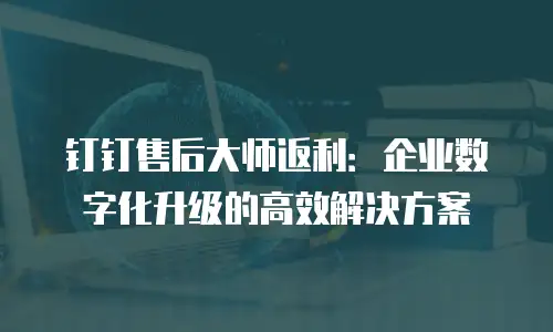 钉钉售后大师返利：企业数字化升级的高效解决方案