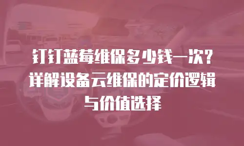 钉钉蓝莓维保多少钱一次？详解设备云维保的定价逻辑与价值选择