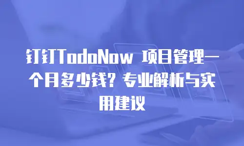 钉钉TodoNow 项目管理一个月多少钱？专业解析与实用建议